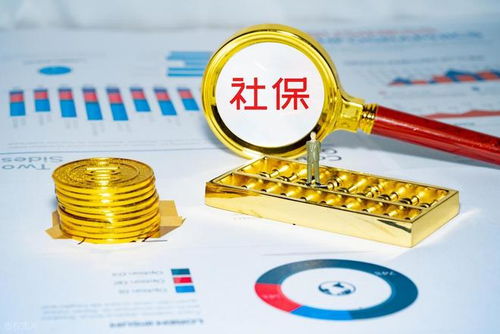 社保錢袋子誰掏空？強制繳費究竟保護誰？企業最終僅認這一招