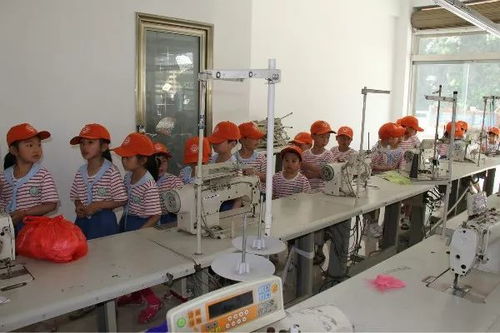 微小的腳步，大大的世界——倉上鎮中心幼兒園大二班小朋友走進毛絨玩具廠開展社會實踐活動回顧